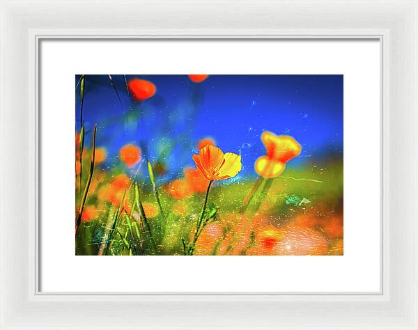 Blue Sky and Orange Poppy with Fireworks in the Air - Framed Print