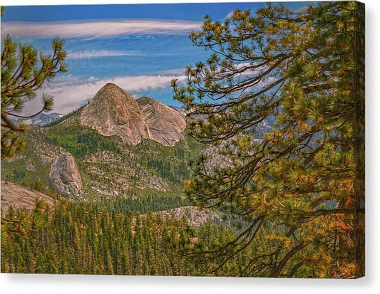 Blurry Trees and Focused Mountains Landscape - Canvas Print