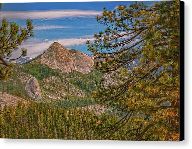 Blurry Trees and Focused Mountains Landscape - Canvas Print