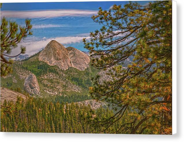 Blurry Trees and Focused Mountains Landscape - Canvas Print