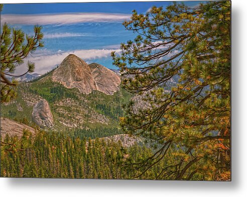 Blurry Trees and Focused Mountains Landscape - Metal Print
