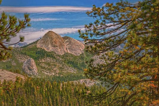 Blurry Trees and Focused Mountains Landscape - Art Print