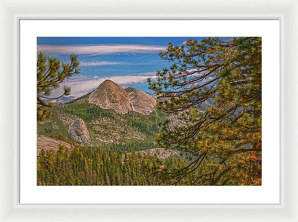 Blurry Trees and Focused Mountains Landscape - Framed Print