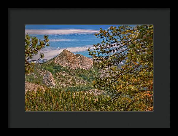 Blurry Trees and Focused Mountains Landscape - Framed Print