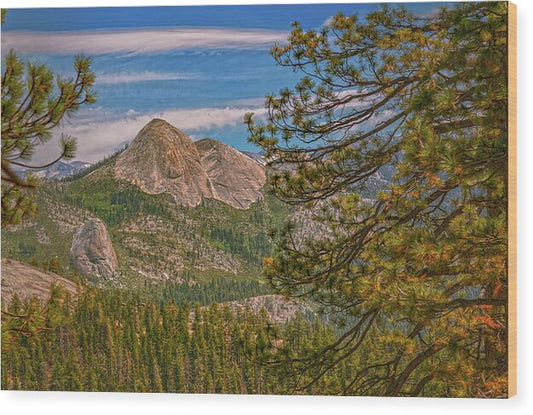 Blurry Trees and Focused Mountains Landscape - Wood Print