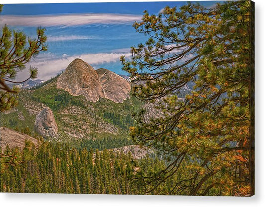 Blurry Trees and Focused Mountains Landscape - Acrylic Print