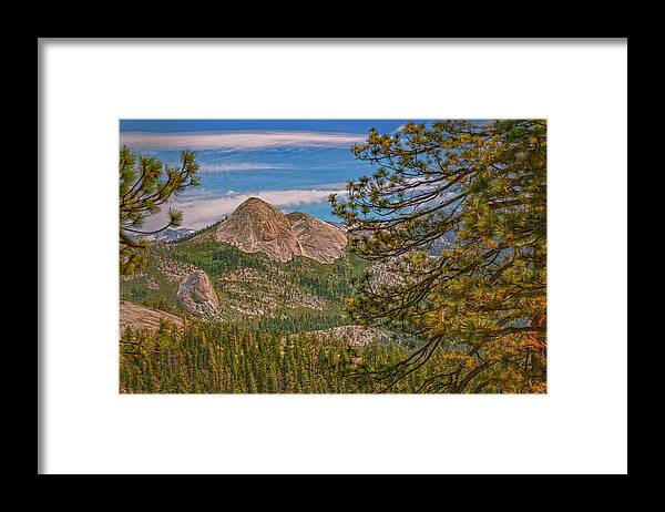 Blurry Trees and Focused Mountains Landscape - Framed Print
