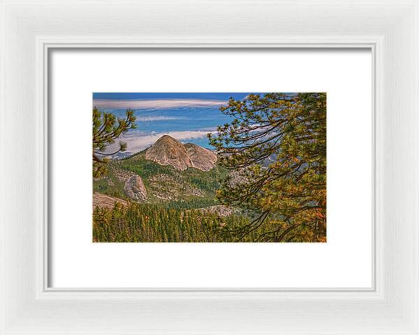 Blurry Trees and Focused Mountains Landscape - Framed Print