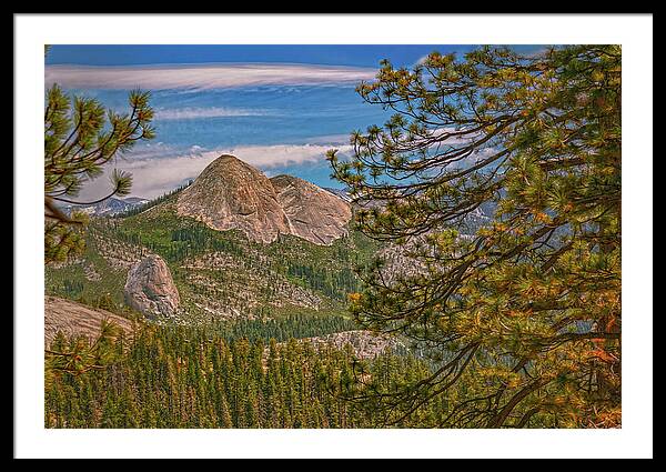 Blurry Trees and Focused Mountains Landscape - Framed Print