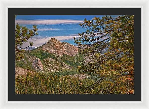 Blurry Trees and Focused Mountains Landscape - Framed Print