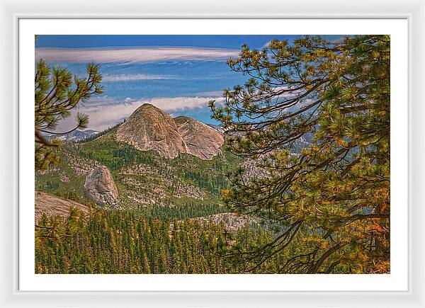 Blurry Trees and Focused Mountains Landscape - Framed Print