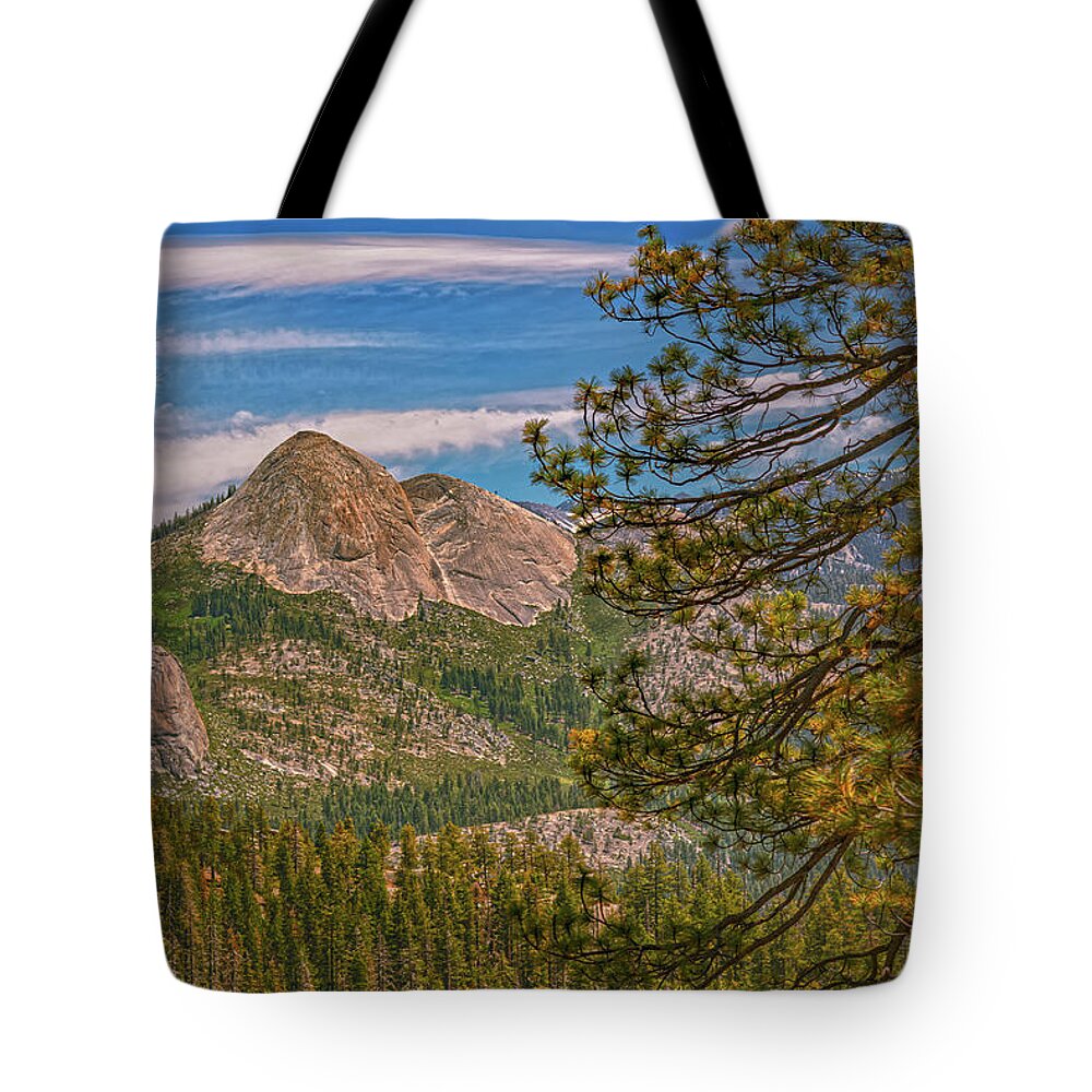 Blurry Trees and Focused Mountains Landscape - Tote Bag