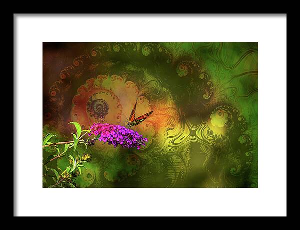Butterfly on Magenta Flowers with Abstract Design - Framed Print