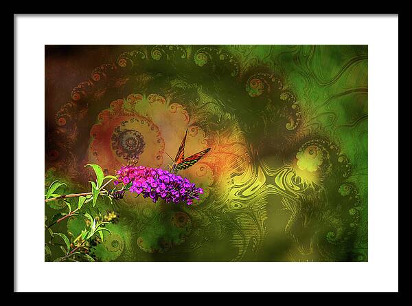 Butterfly on Magenta Flowers with Abstract Design - Framed Print