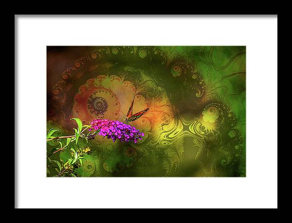 Butterfly on Magenta Flowers with Abstract Design - Framed Print