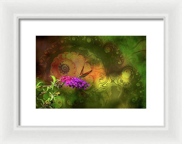Butterfly on Magenta Flowers with Abstract Design - Framed Print