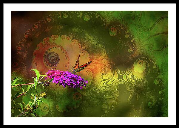 Butterfly on Magenta Flowers with Abstract Design - Framed Print
