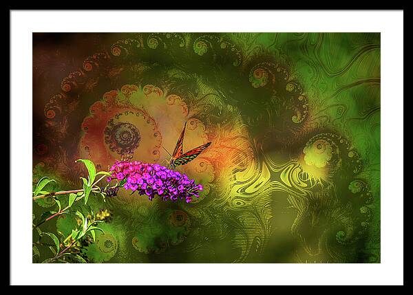 Butterfly on Magenta Flowers with Abstract Design - Framed Print