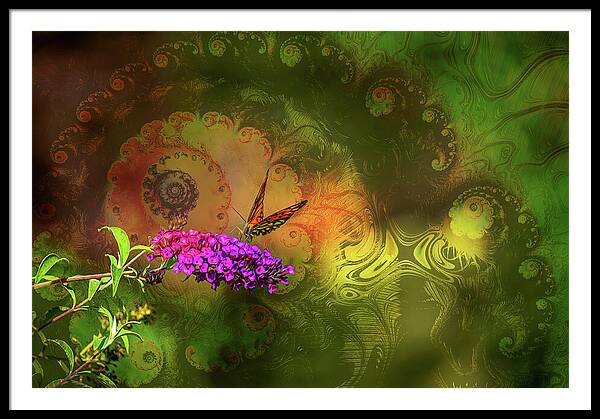 Butterfly on Magenta Flowers with Abstract Design - Framed Print