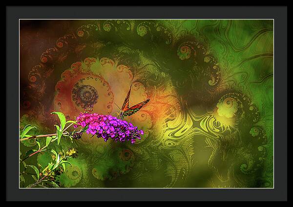 Butterfly on Magenta Flowers with Abstract Design - Framed Print