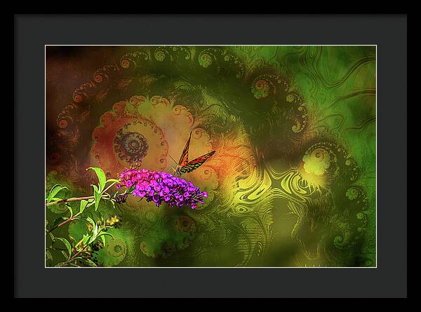 Butterfly on Magenta Flowers with Abstract Design - Framed Print