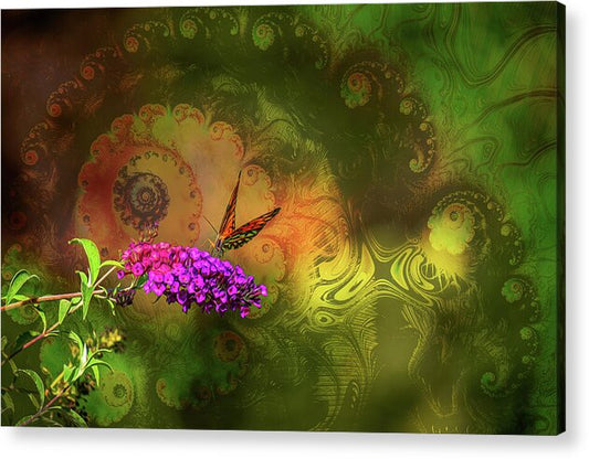 Butterfly on Magenta Flowers with Abstract Design - Acrylic Print