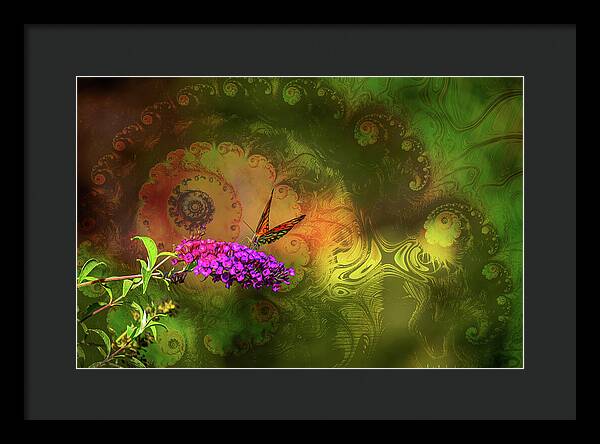 Butterfly on Magenta Flowers with Abstract Design - Framed Print