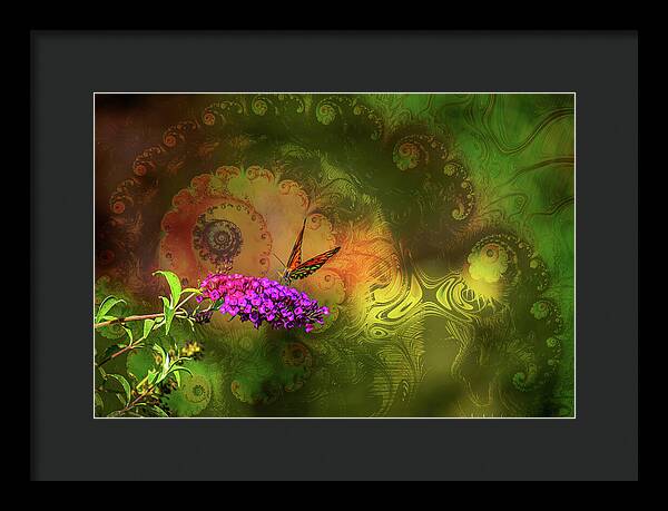 Butterfly on Magenta Flowers with Abstract Design - Framed Print