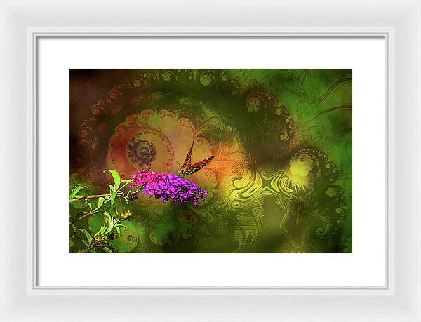 Butterfly on Magenta Flowers with Abstract Design - Framed Print
