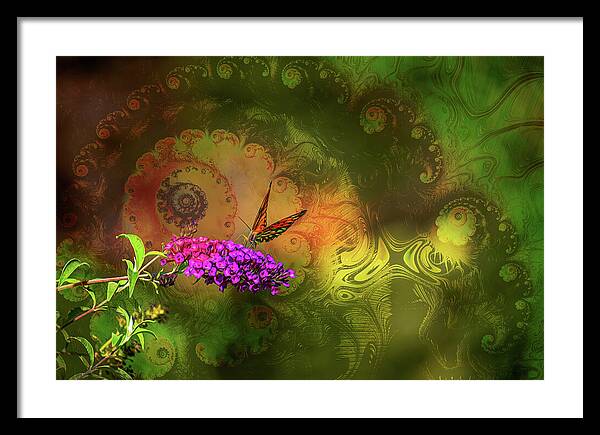 Butterfly on Magenta Flowers with Abstract Design - Framed Print