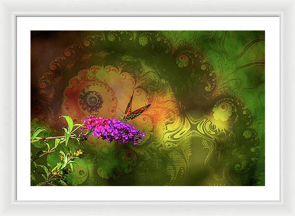 Butterfly on Magenta Flowers with Abstract Design - Framed Print