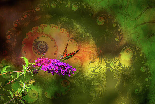 Butterfly on Magenta Flowers with Abstract Design - Art Print