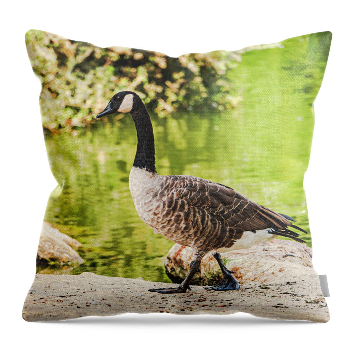 Canadian Goose by a Tranquil Pond - Throw Pillow