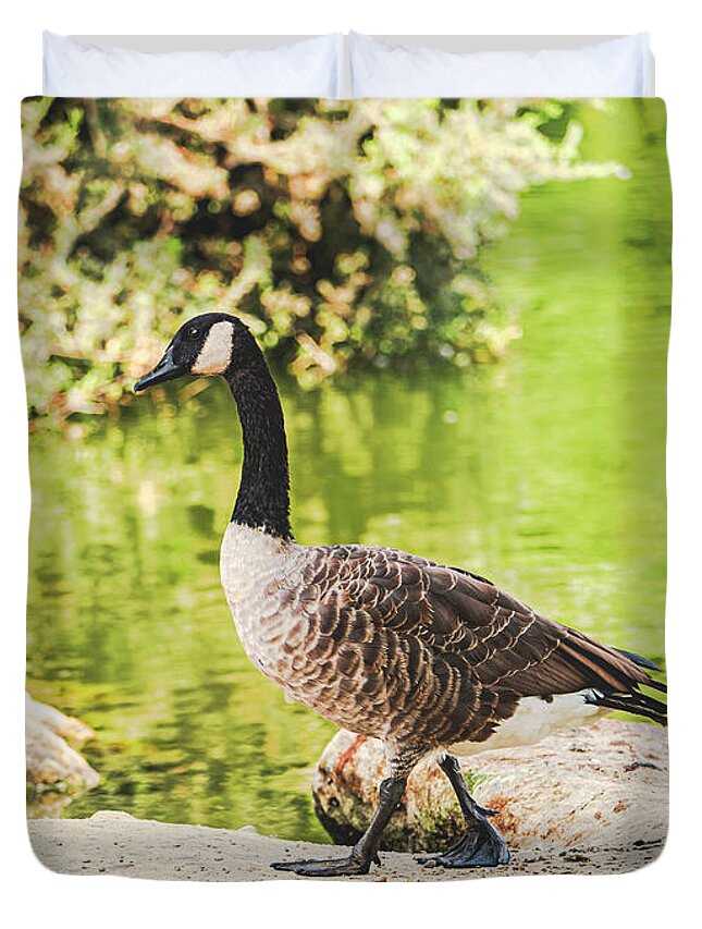 Canadian Goose by a Tranquil Pond - Duvet Cover