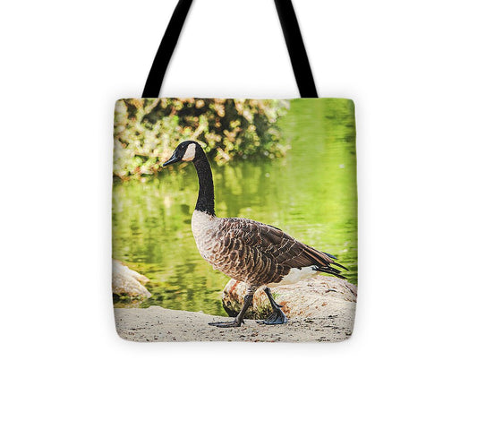 Canadian Goose by a Tranquil Pond - Tote Bag