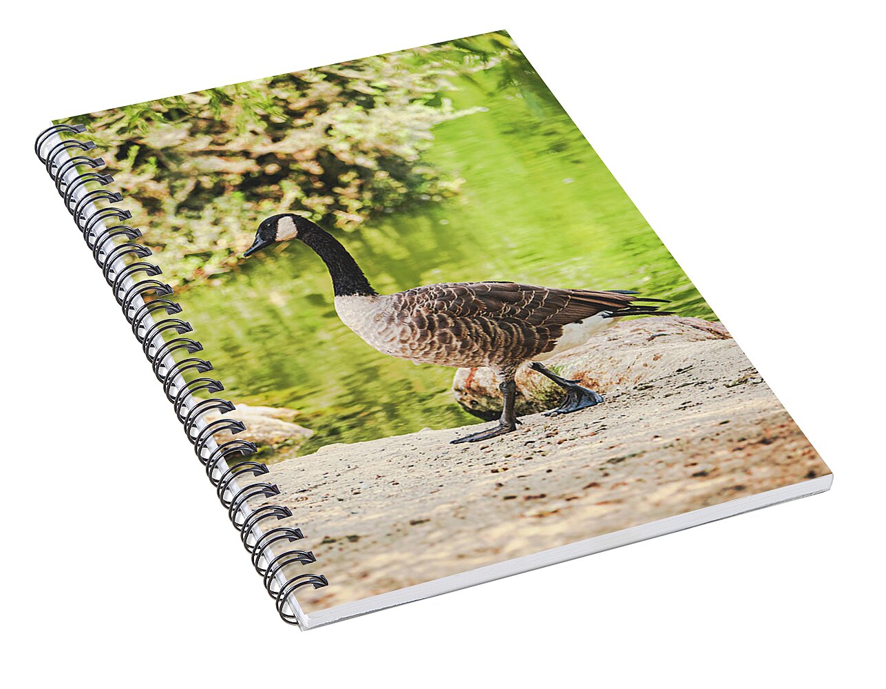 Canadian Goose by a Tranquil Pond - Spiral Notebook