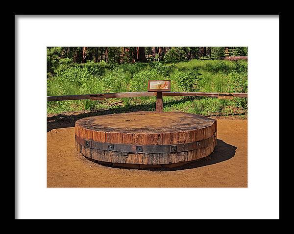 Chopped up Slice of a Giant Sequoia Display - Framed Print