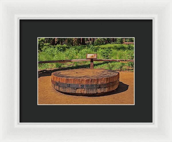 Chopped up Slice of a Giant Sequoia Display - Framed Print