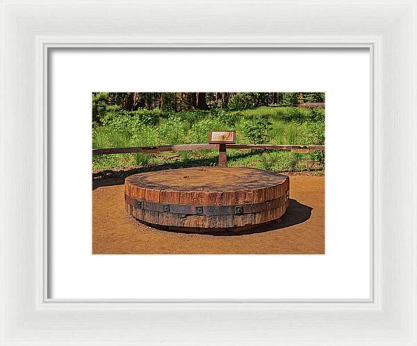 Chopped up Slice of a Giant Sequoia Display - Framed Print