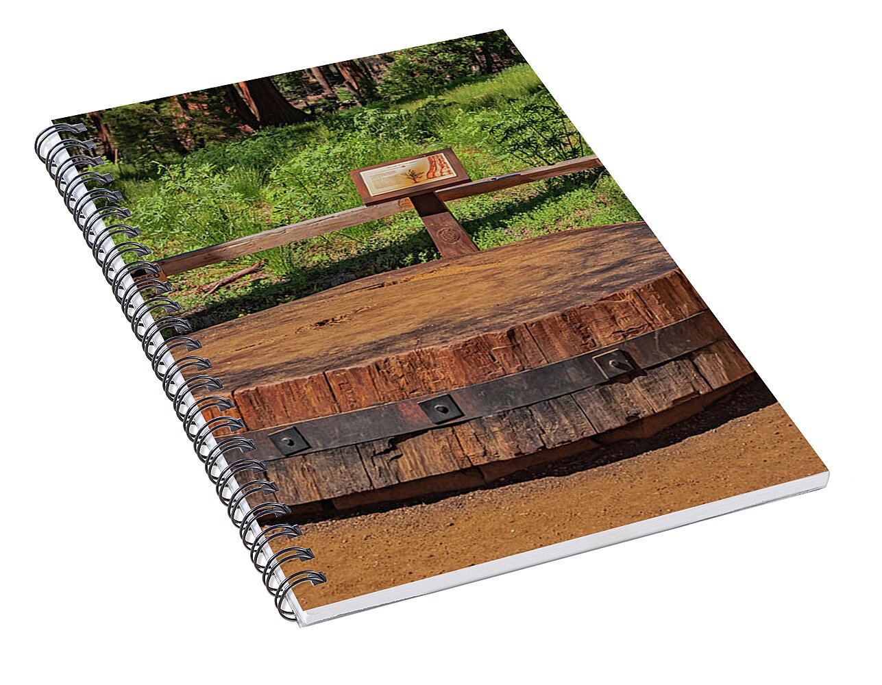 Chopped up Slice of a Giant Sequoia Display - Spiral Notebook