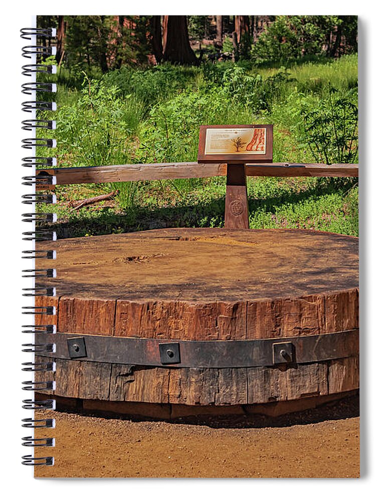 Chopped up Slice of a Giant Sequoia Display - Spiral Notebook
