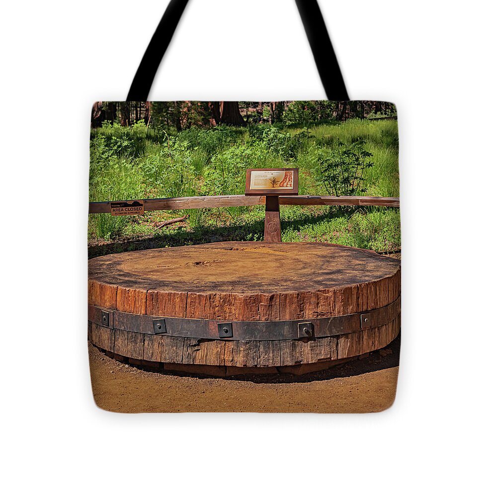 Chopped up Slice of a Giant Sequoia Display - Tote Bag