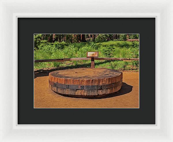 Chopped up Slice of a Giant Sequoia Display - Framed Print