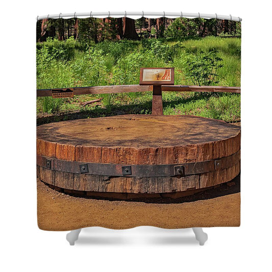 Chopped up Slice of a Giant Sequoia Display - Shower Curtain