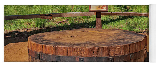 Chopped up Slice of a Giant Sequoia Display - Yoga Mat