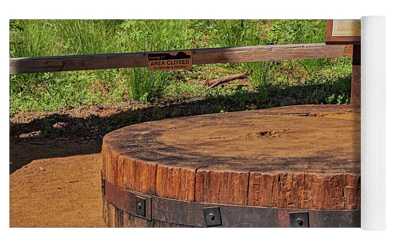 Chopped up Slice of a Giant Sequoia Display - Yoga Mat