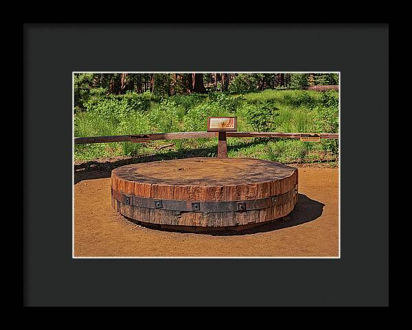 Chopped up Slice of a Giant Sequoia Display - Framed Print