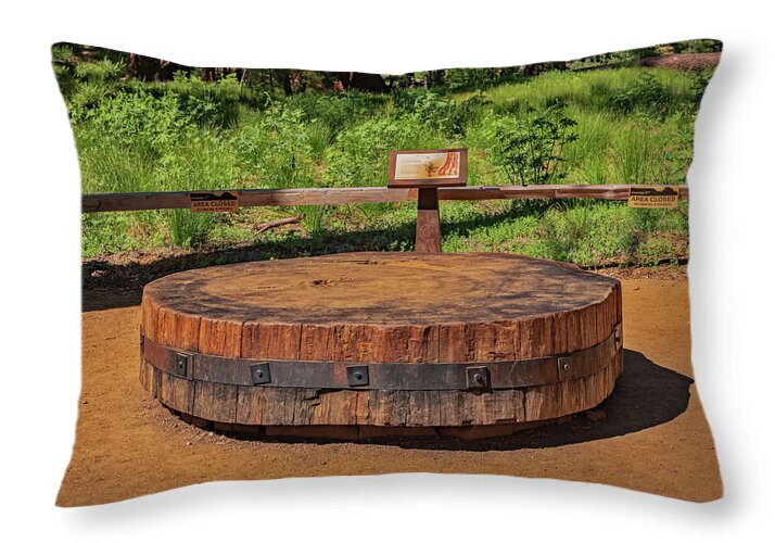 Chopped up Slice of a Giant Sequoia Display - Throw Pillow