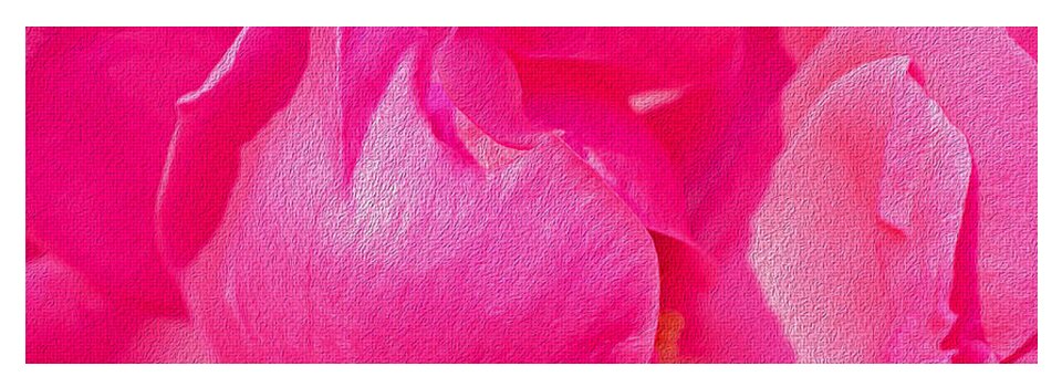 Closeup of a Wonderful Pink Rose  - Yoga Mat