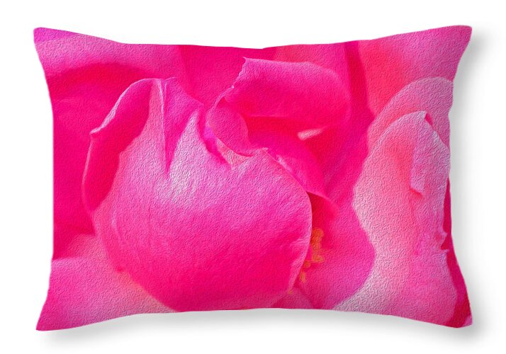 Closeup of a Wonderful Pink Rose - Throw Pillow